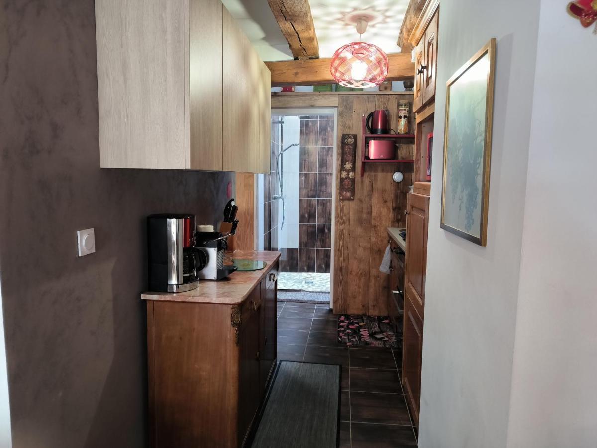 Appartements - 1 Mn Du Centre Ribeauvillé Dış mekan fotoğraf