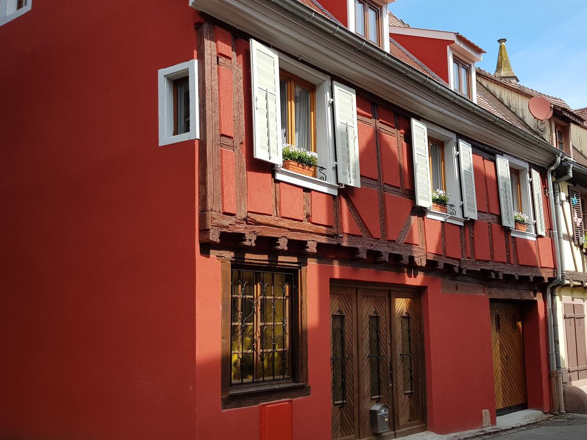 Appartements - 1 Mn Du Centre Ribeauvillé Dış mekan fotoğraf